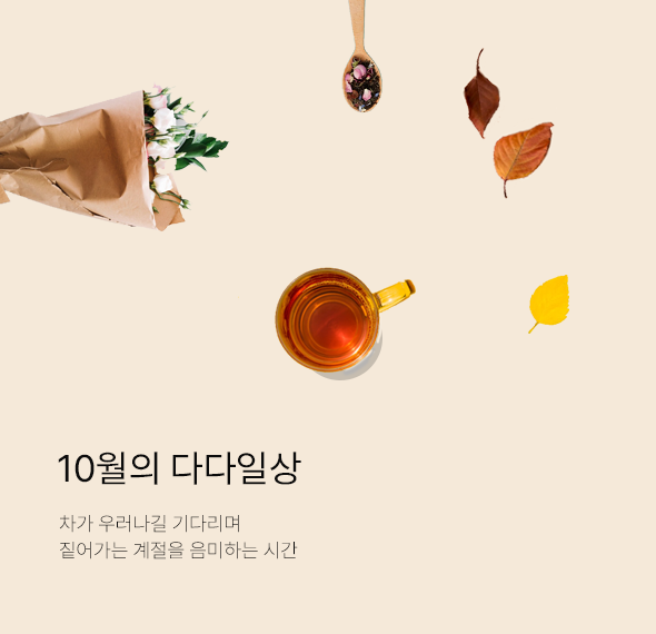배너사진 중